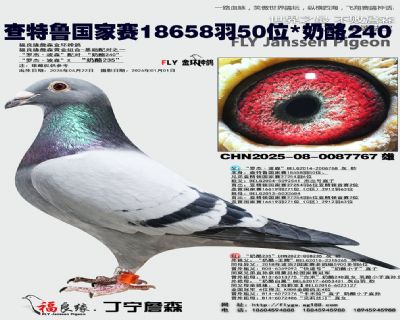 ����³������18658��50λ/����240