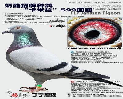 ���������ָ롰��������599��Ѫ