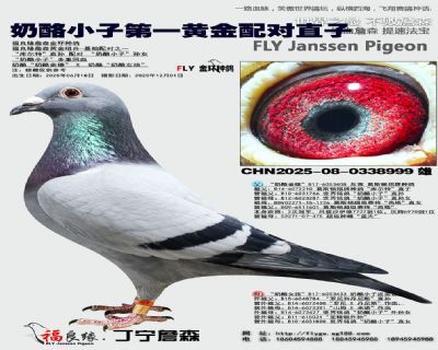 ����С�� ��һ�ƽ����ֱ��