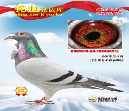 �����ѣ������̽���ڹ��������