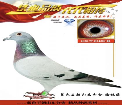 ��ɫ��������򿪴��߲�����812