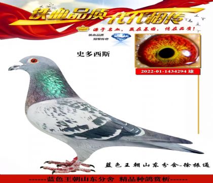 ����κ���ģ�ʷ����˹294