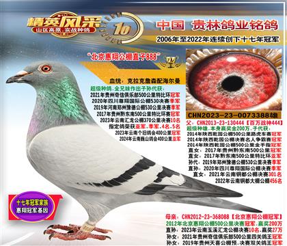 �����������蹫��ھ�ֱ��