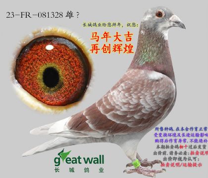 1.��ۼ������.081328