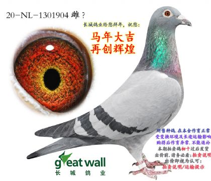 3.����Ѫϵ.1301904