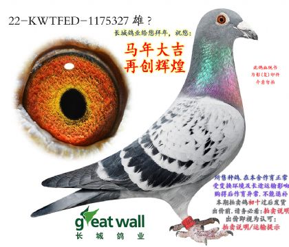 4.�����ž���82��.1175327