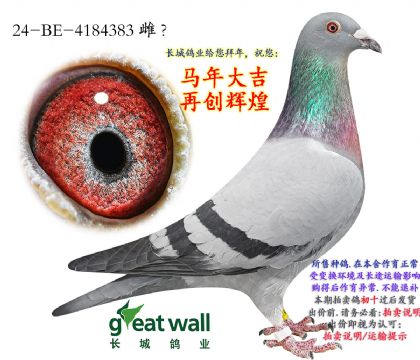 5.��ѩ�����ض����.4184383