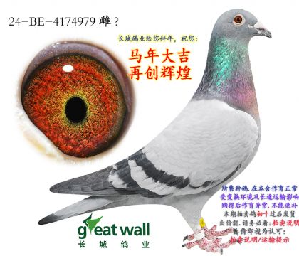 6.��ʱ�ݶ����Ӵ�.4174979