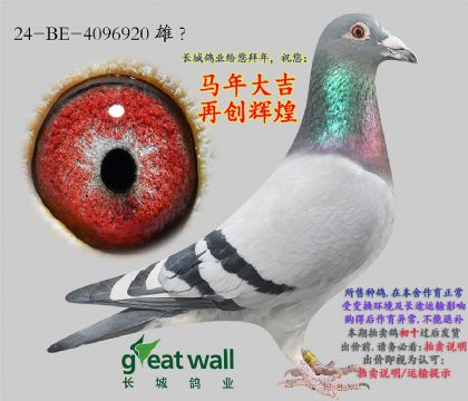 7.�Ͽ˷�����Ѫϵ.4096920