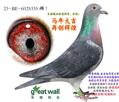 8.¡����ԭ��.6025335