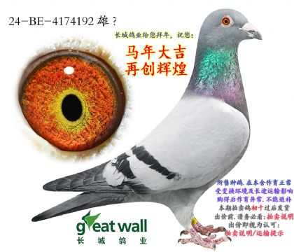 9.��ѻ��ض����.4174192