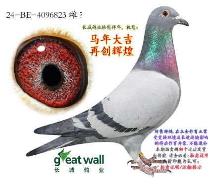 10.��ʱ�������Ӵ�.4096823