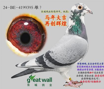 11.�½�ķ���.4199395