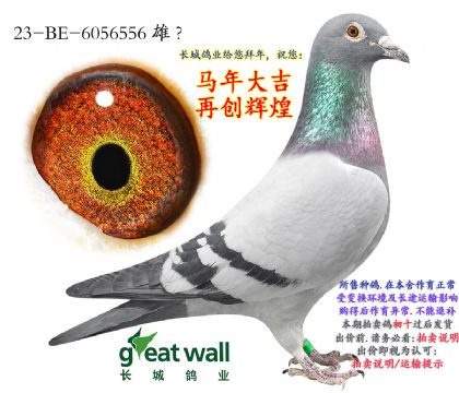 12.���ֿ�˹ԭ��.6056556