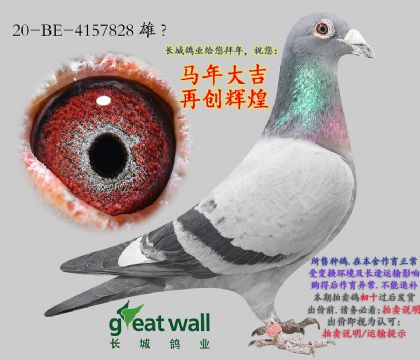 14.��˹��ȫ��.4157828