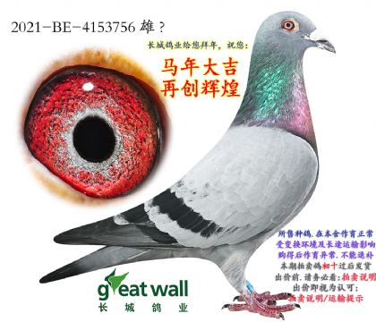 13.��ʱ�������Ӵ�.4153756