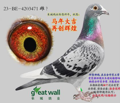 16.��ѻ��ض����.4203471