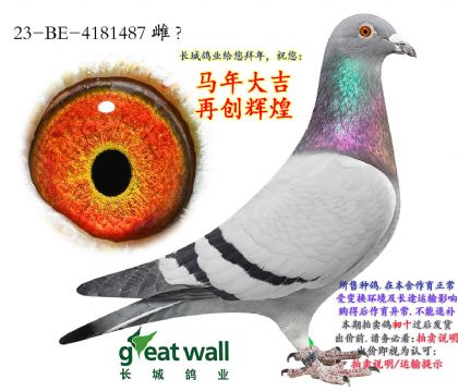 15.����ƥ��ɯ�����Ӵ�.4181487