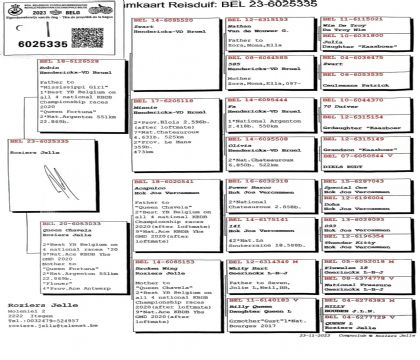 8.¡����ԭ��.6025335xx