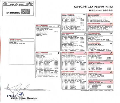 11.�½�ķ���.4199395xx