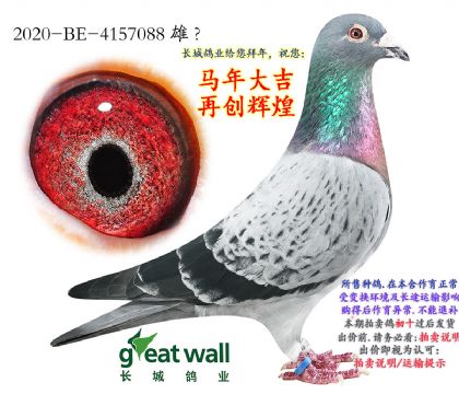 1.��ʱ��911ȫ��.4157088