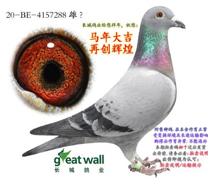 3.�ƽ����ӱ�ʱ��.4157288