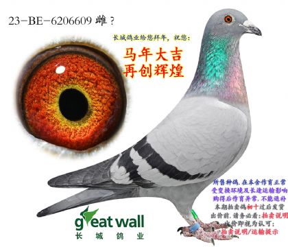 2.����Ѫϵ.6206609