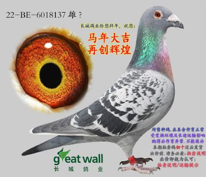 5.������x����Ů��.6018137