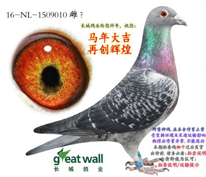 6.����ƥ�������Ӵ�.1509010