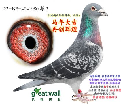 8.��ѻ��ض����.4041980