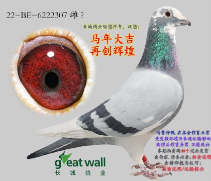 12.���ֿ�˹ԭ��6222307