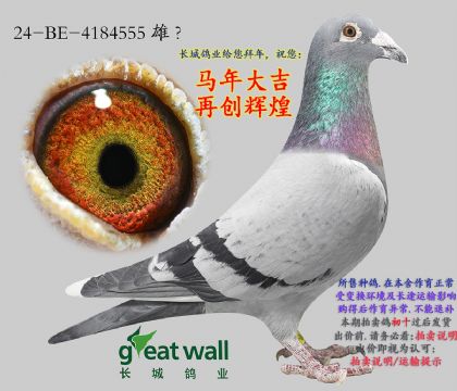 11.���ض����.4184555