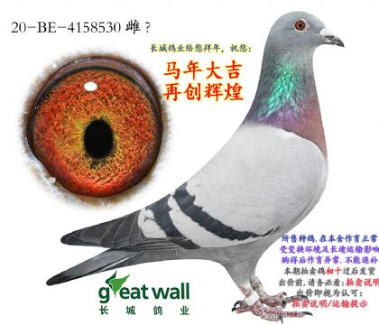 13.�½�ķ����.4158530