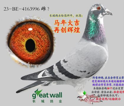 16.̩��x����.4163996