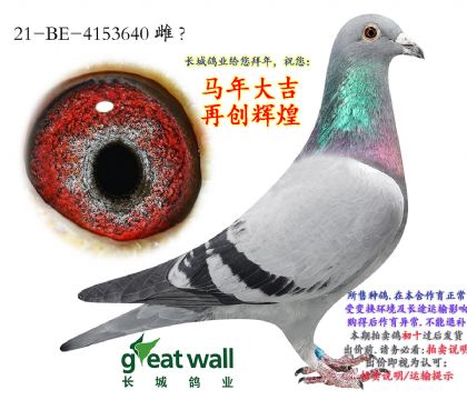 18.��ʱ��911�Ӵ�.4153640