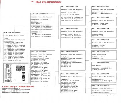 2.����Ѫϵ.6206609xx