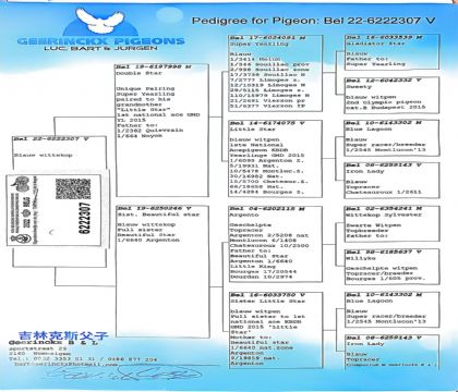 12.���ֿ�˹ԭ��6222307xx