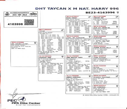 16.̩��x����.4163996xx