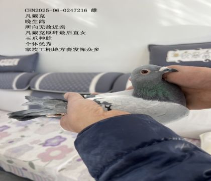 ������ԭ�����ֱŮ