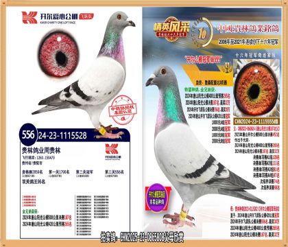 ��ɽ��������ھ�����ֱŮ