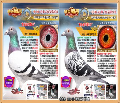 500�����Ǿ�ȫ��.ƽ��������������ھ�.500�������