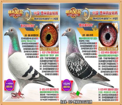 ī�ƶ���ֱ����ī�ƶ�����Ů����.2926�𼾾�ֱŮ