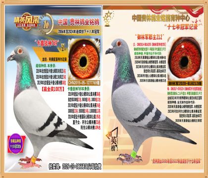 �������ǿ��չ������5��ֱŮ