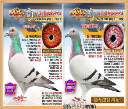 ����4243��ھ���35��Ũ�蹫��ھ�ֱŮ