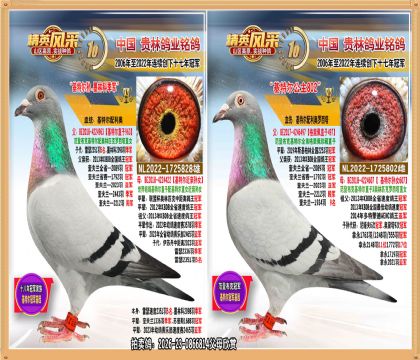 ���ض�������ض���Ů����.2098�𼾾�ֱŮ