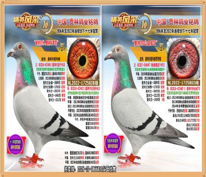 ���ض�������ض���Ů����.2098�𼾾�ֱŮ