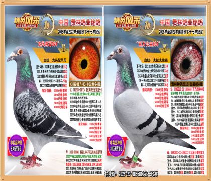 500��������Ǿ�.ָ����ͨ���ܹھ�ȫ����