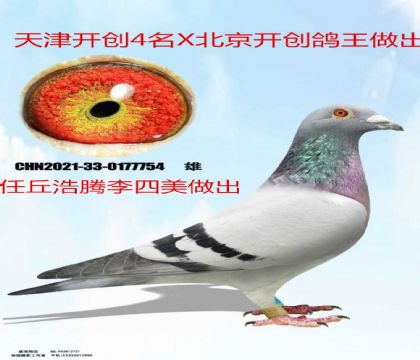 �������������������4X��������