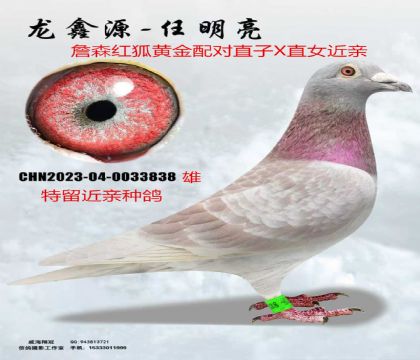 ղɭԭ�����ƽ����ֱ��XֱŮ����