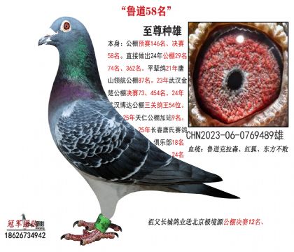 ͬ����繫�����58